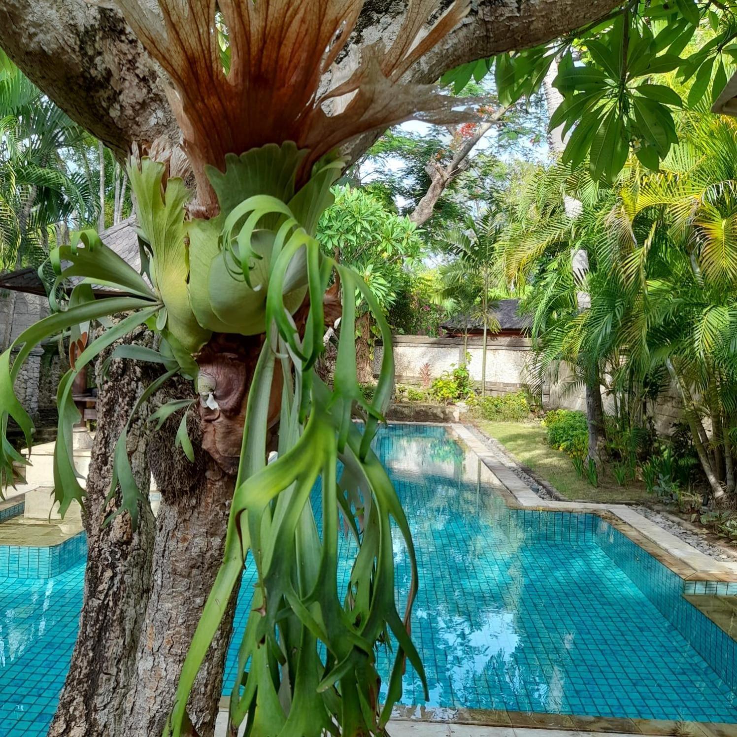 The Royal Beach Seminyak Exteriér fotografie